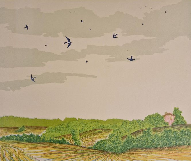 Hovedbilde Sommer 5/56