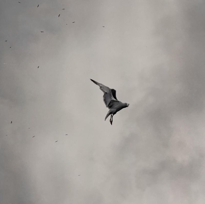 They have sought out many inventions #7 1/15