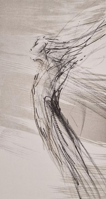 Hovedbilde Wind 101/180