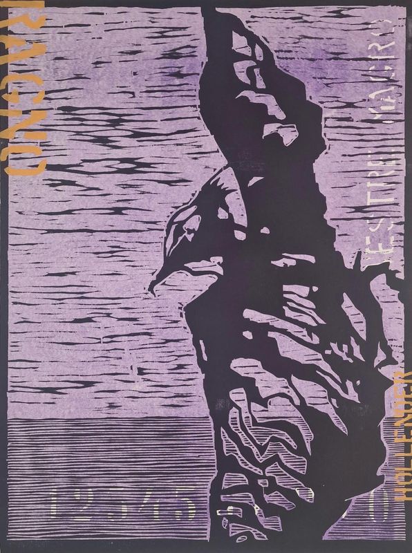 Utrøst skarv III 5/10