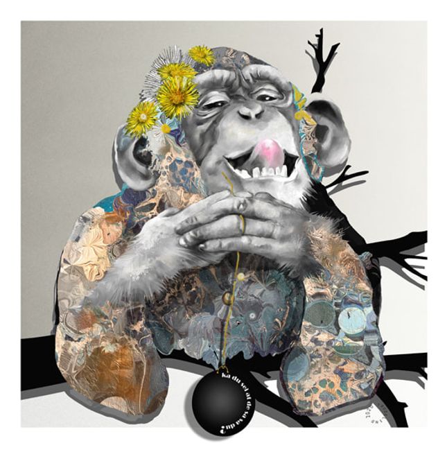 Hovedbilde Ka du sei 7/50