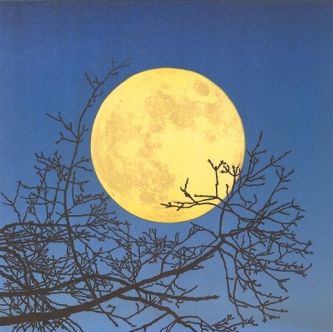 Hovedbilde Februar 132/150