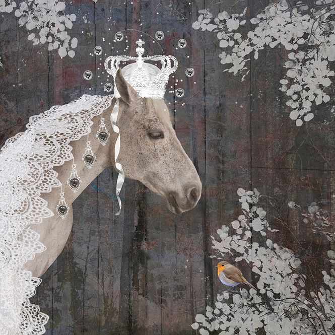 Hovedbilde Rødstrupe 5/50