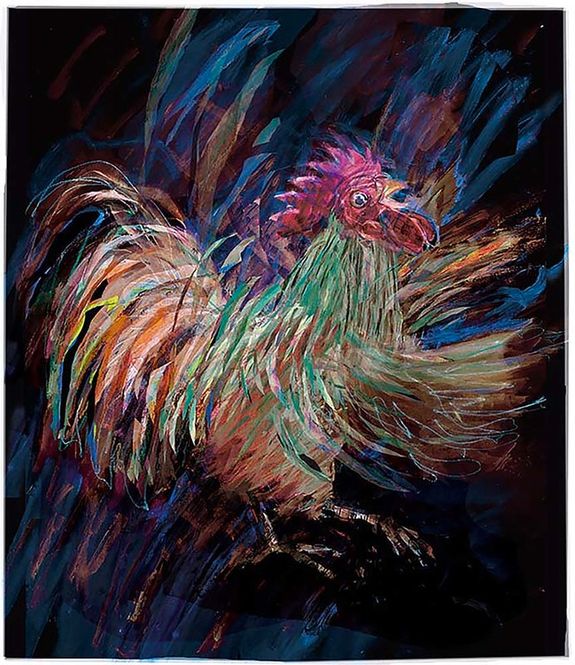 Hovedbilde Hanegal 55/100