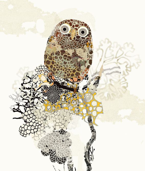 Hovedbilde Tåkeugle 20/80