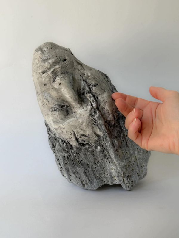 Entropic Human