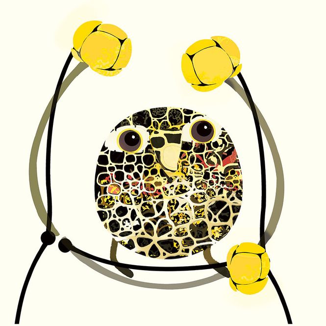 Hovedbilde Knoppsoleie 49/100