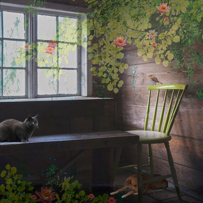 Hovedbilde Det romantiske hjørnet 7/50