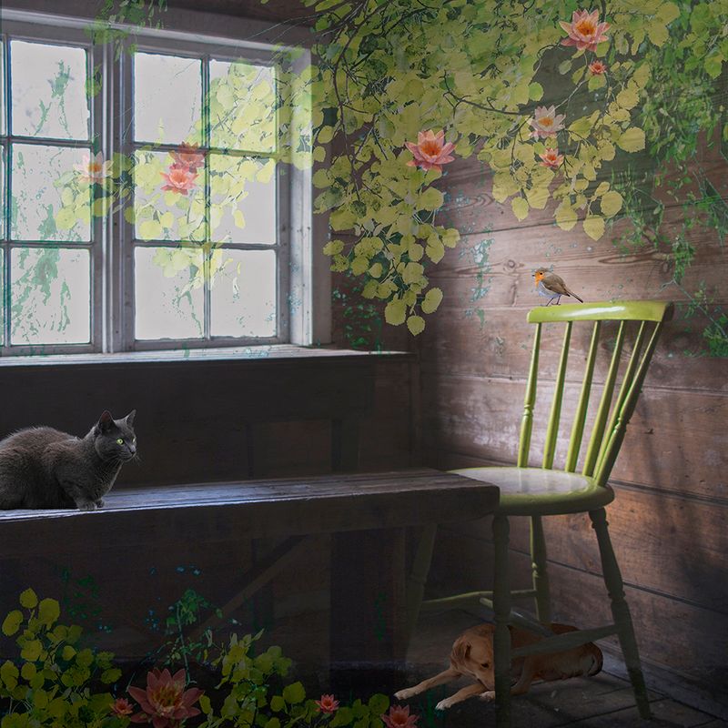 Det romantiske hjørnet 4/50