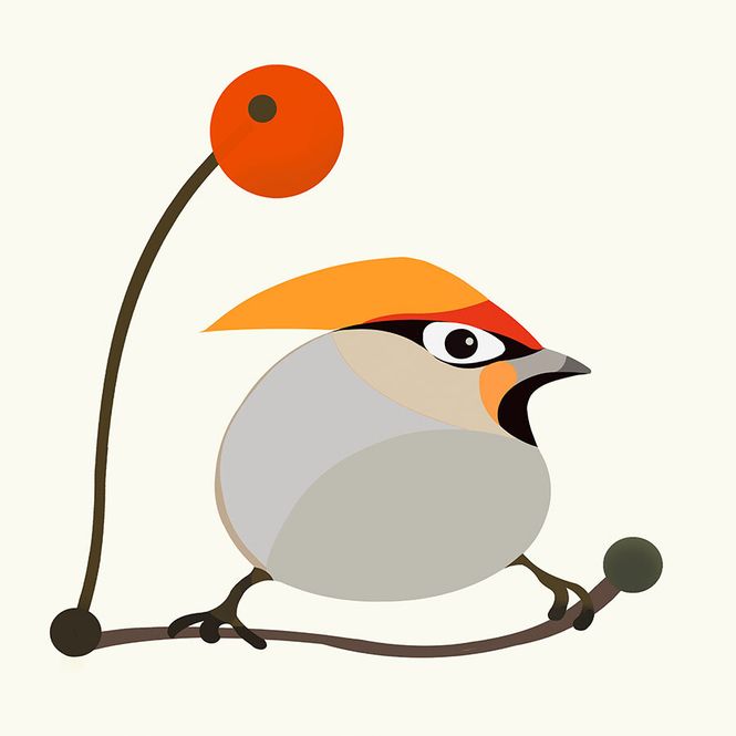 Hovedbilde Sidensvans 27/80