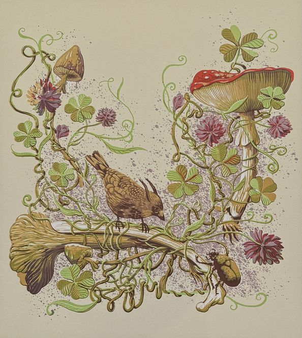 Hovedbilde Barbaresco Rizzi 6/50